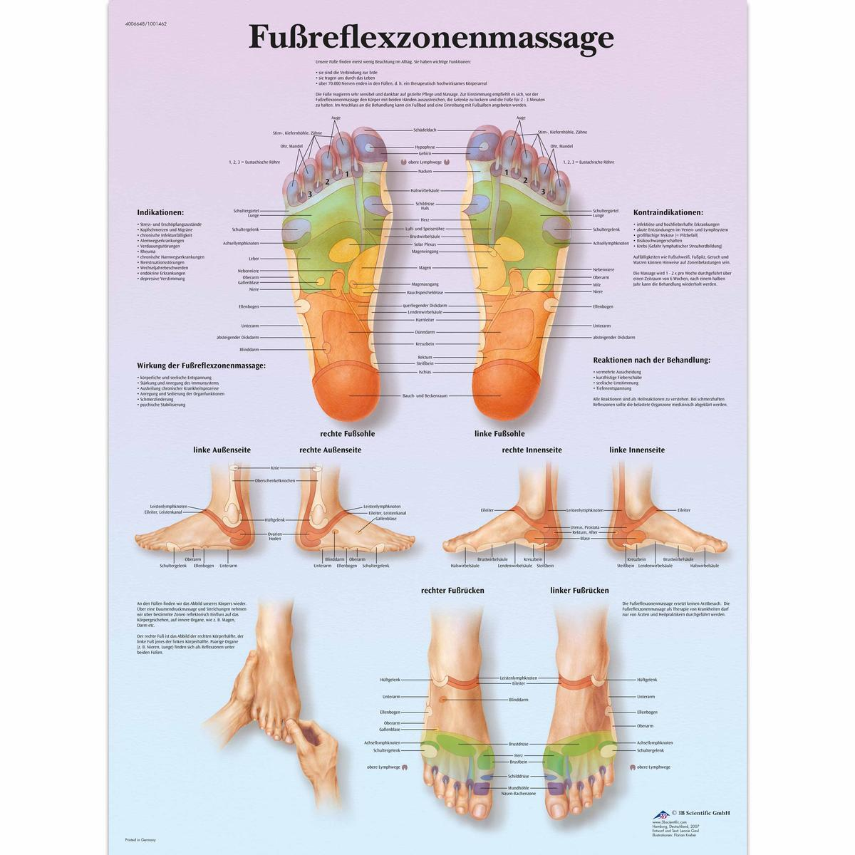 VR0810 UU 01 1200 12004006648 foot reflexology