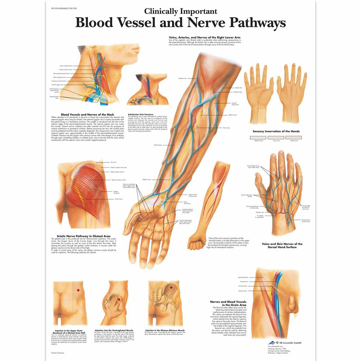 VR1359 L 01 1200 12001001530 Clinically Important