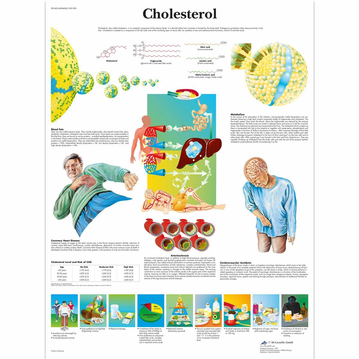 VR1452 L 01 1200 12001001558 Cholesterol Chart