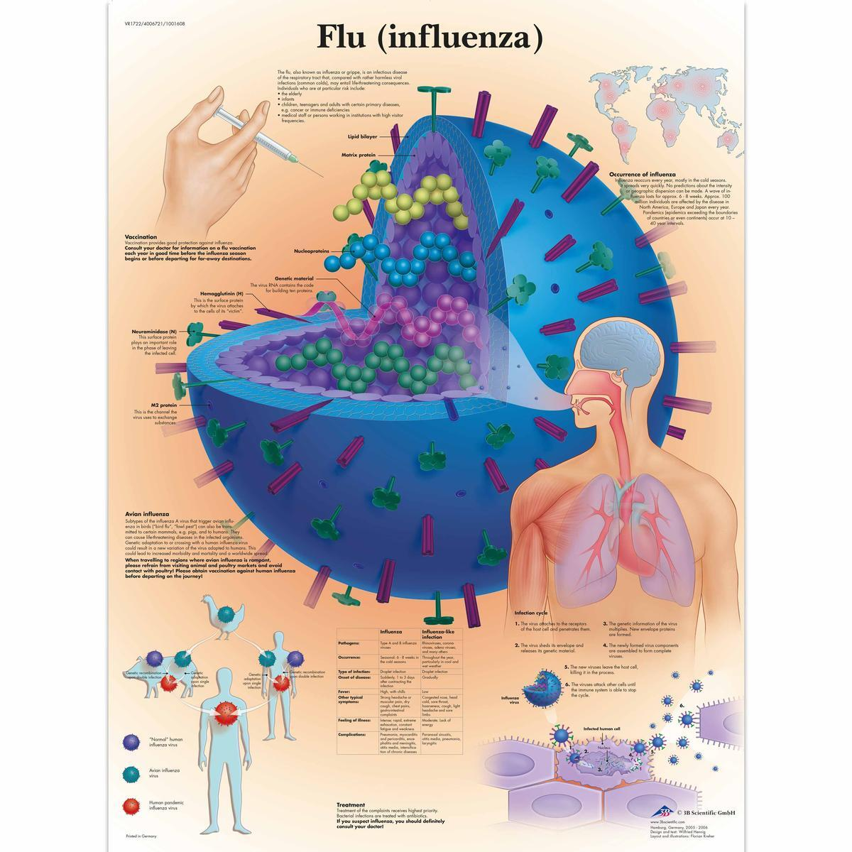 VR1722 UU 01 1200 12004006721 Flu Influenza Char