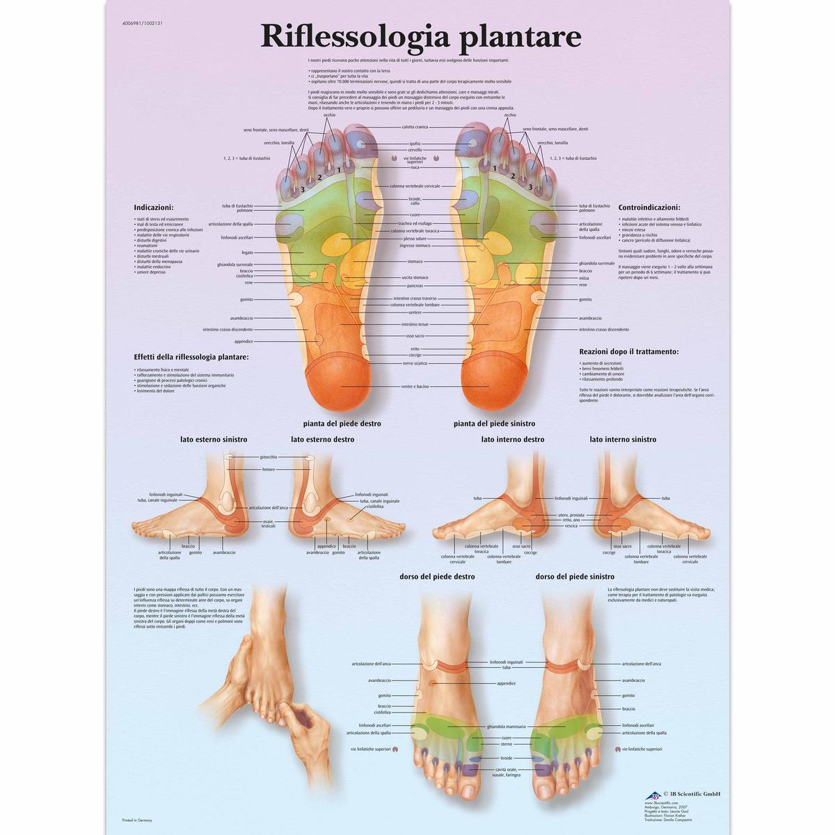 VR4810 UU 01 1200 12004006981 Riflessologia planta