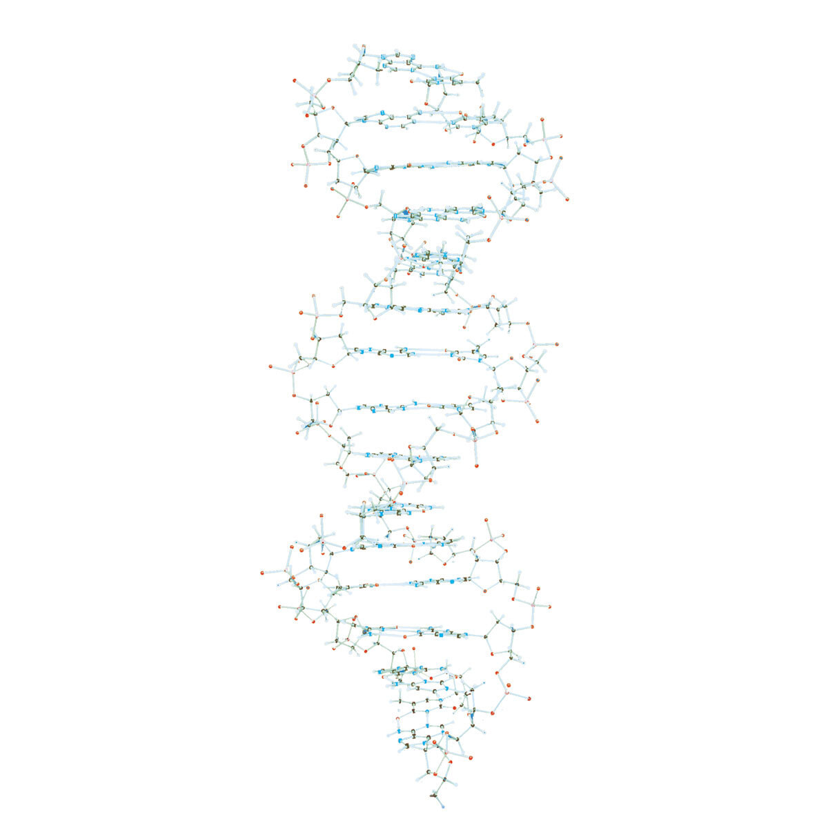 14952 W19800 01 1200 1200 DNA Demonstrationsmodell Orbit Bausatz