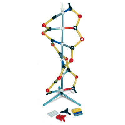 14956 W19820 01 Orbit Kurzes DNA Modell