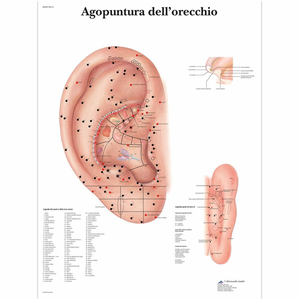 VR4821 L 01 1200 12001002135 Agopuntura dellorecc