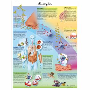 Asthma und Allergien