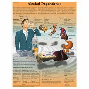 Drogen und Alkohol Aufklärung